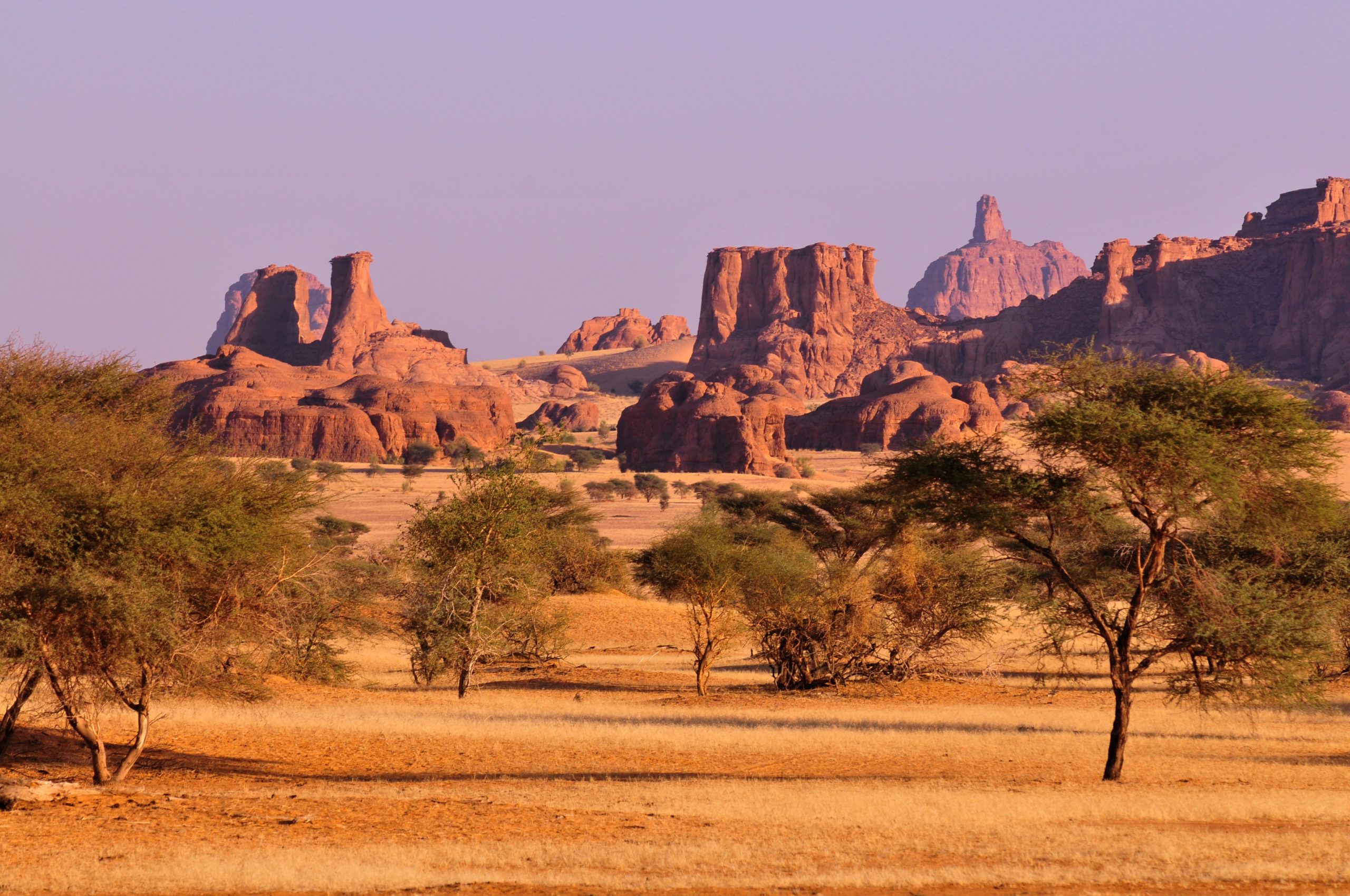 Chad landscape