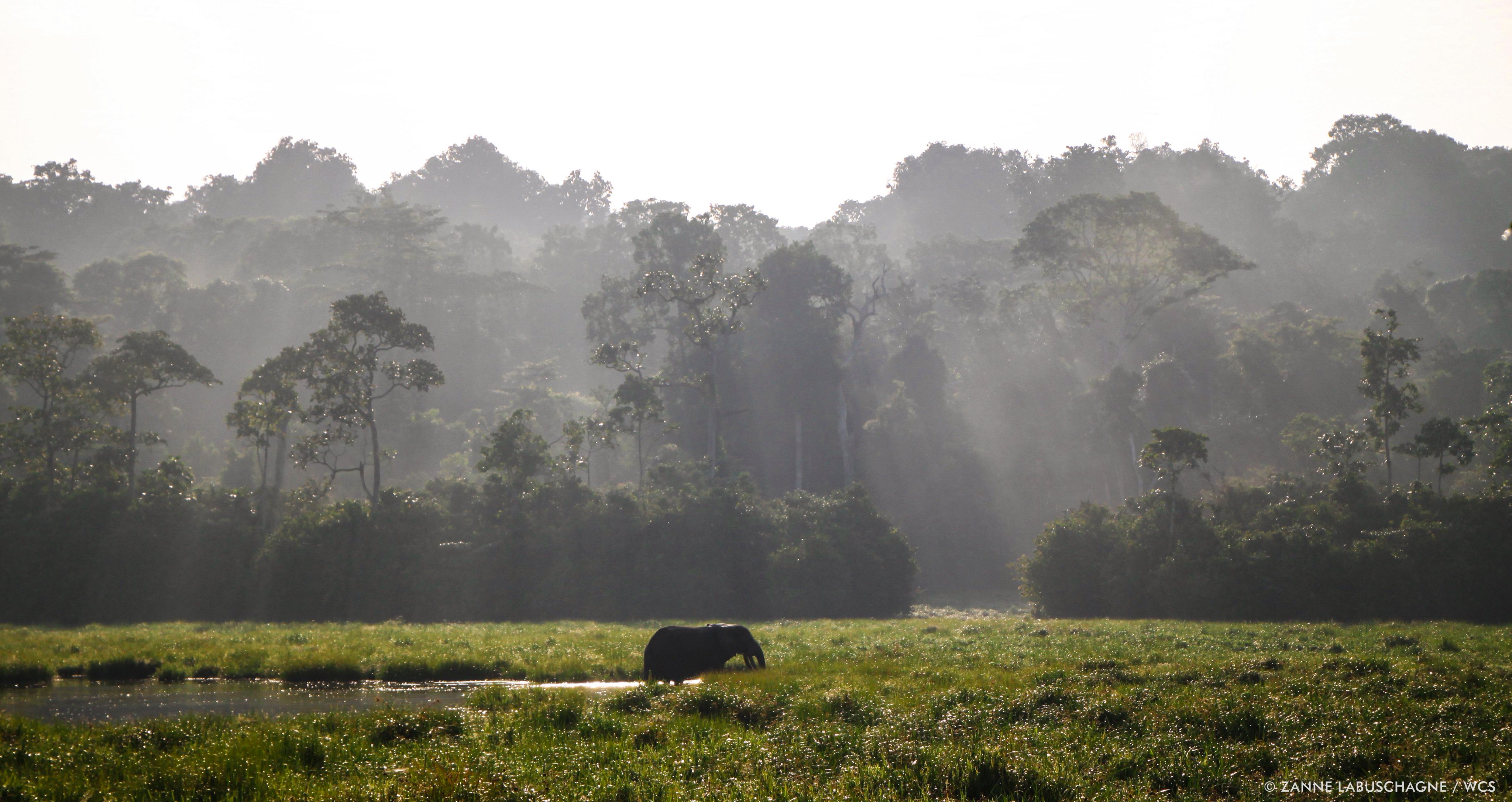 Republic of the Congo landscape