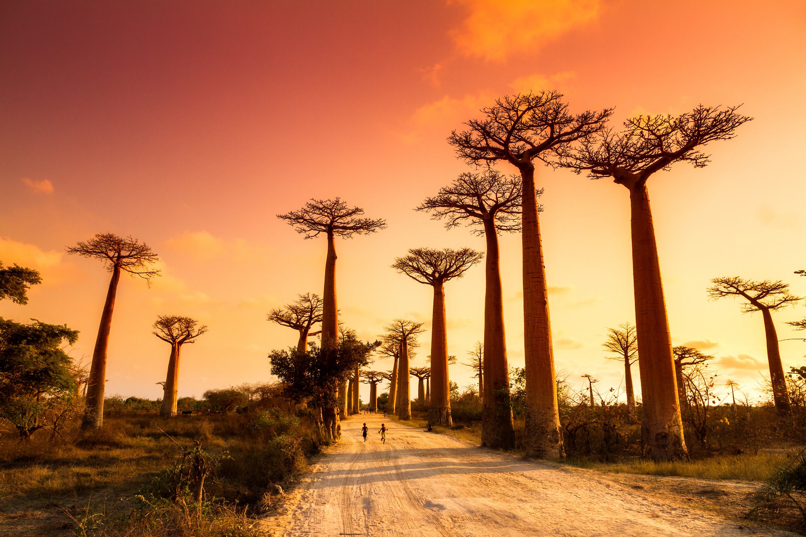 Madagascar landscape