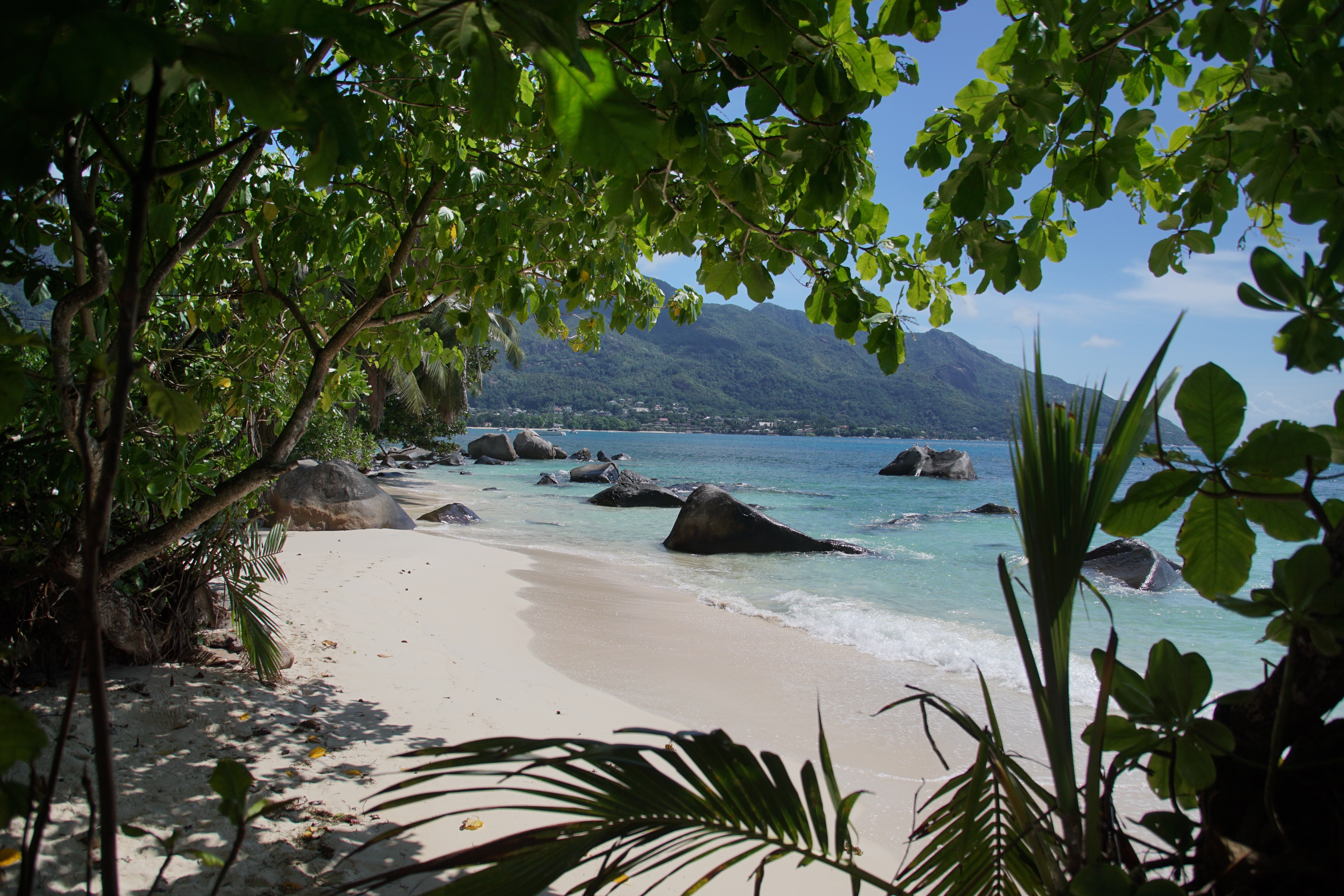 Seychelles landscape