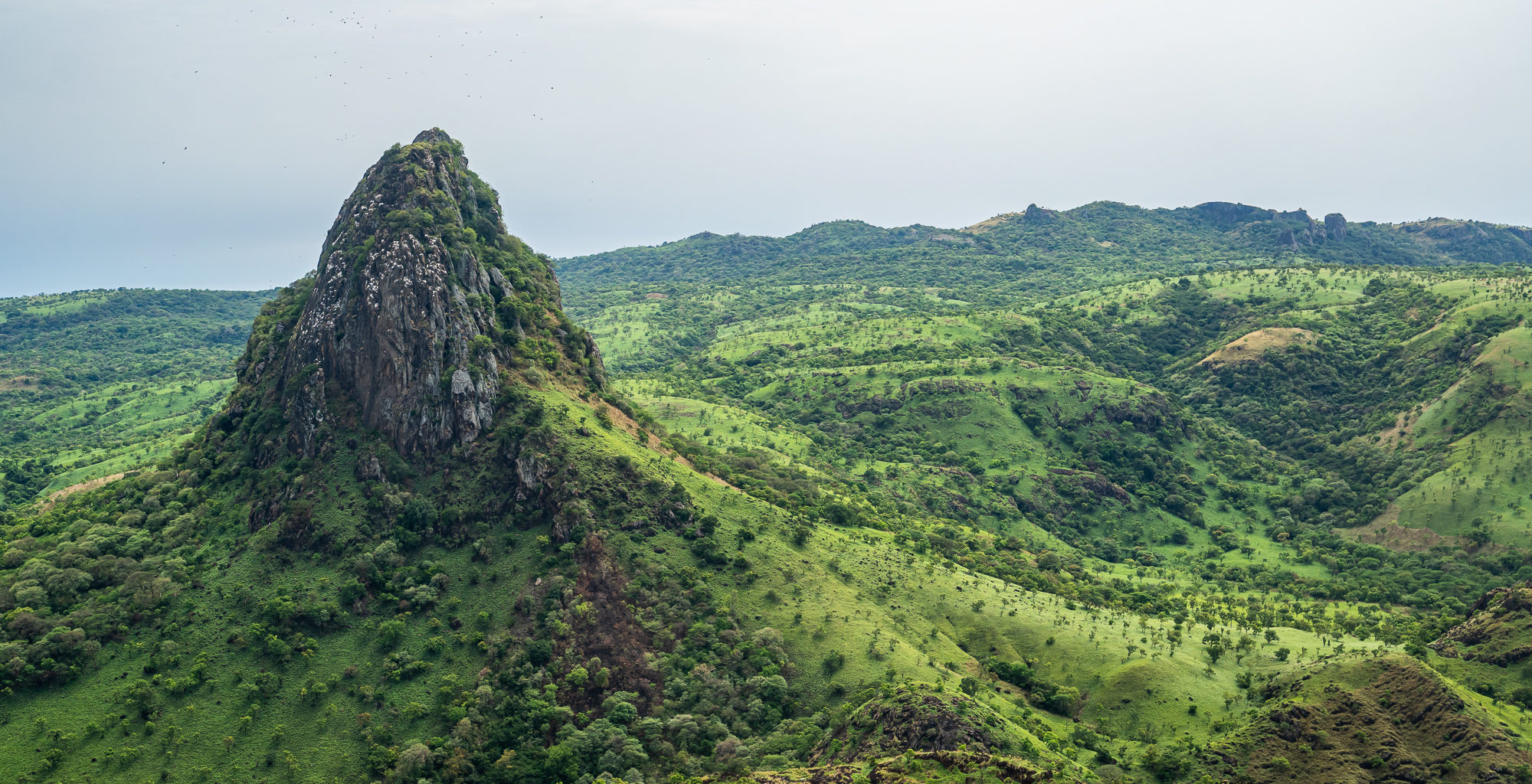 South Sudan landscape