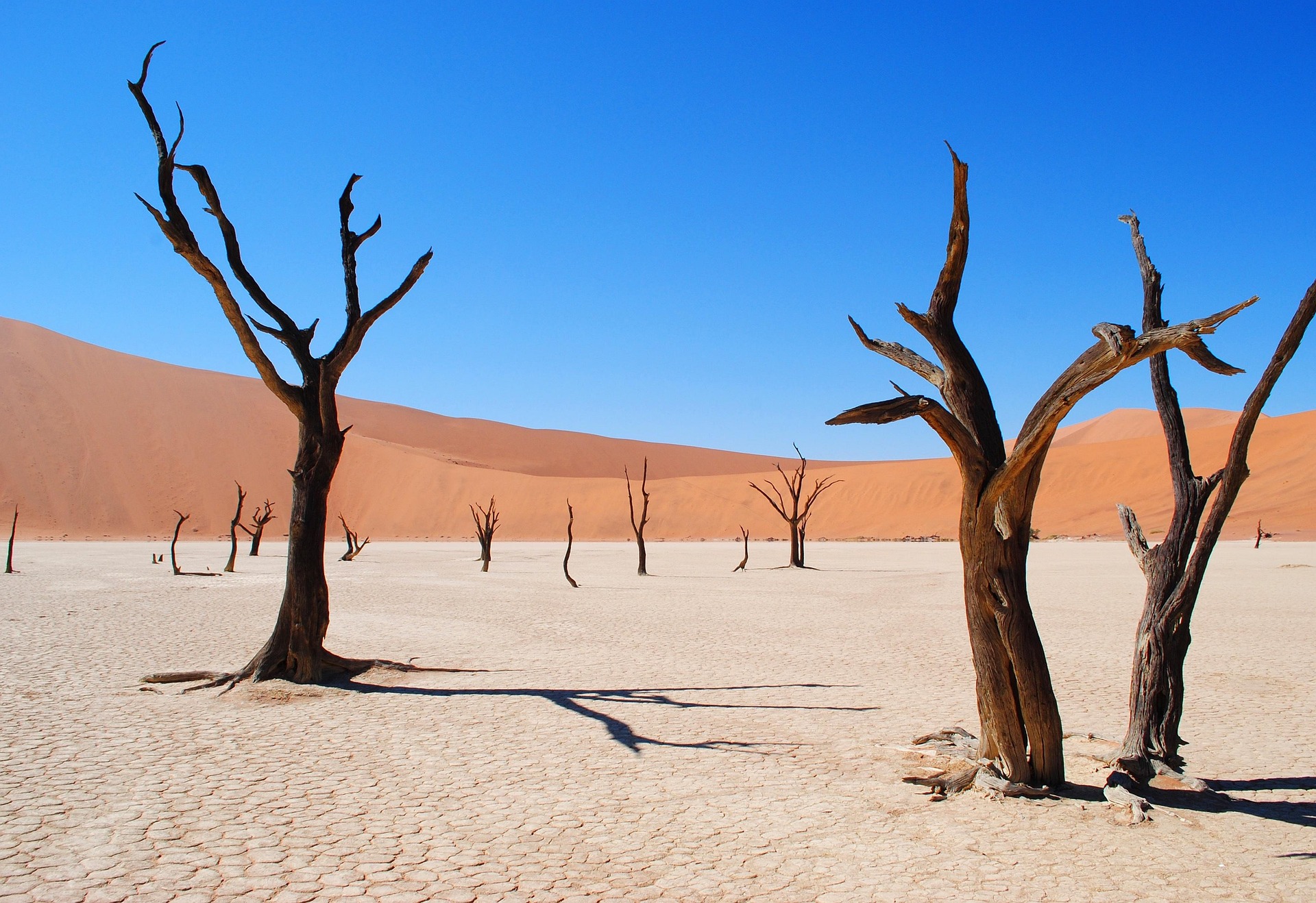 Namibia landscape