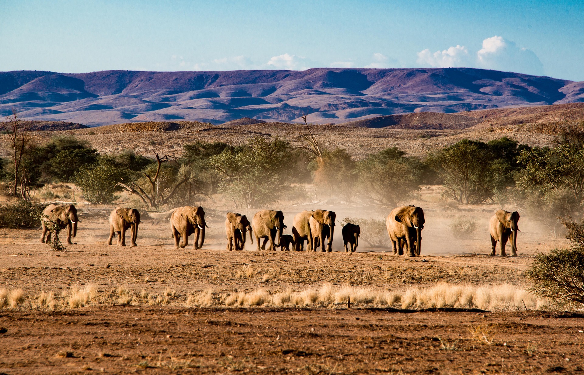 Namibia landscape
