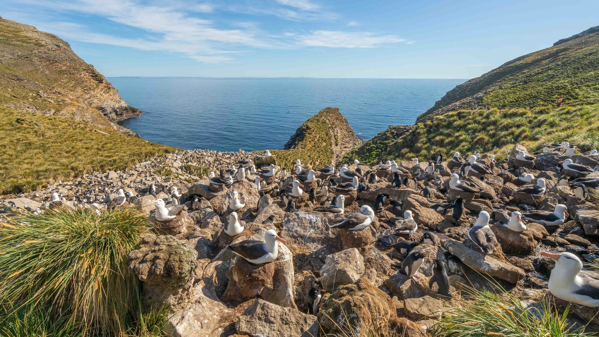 Falkland Islands Landscape