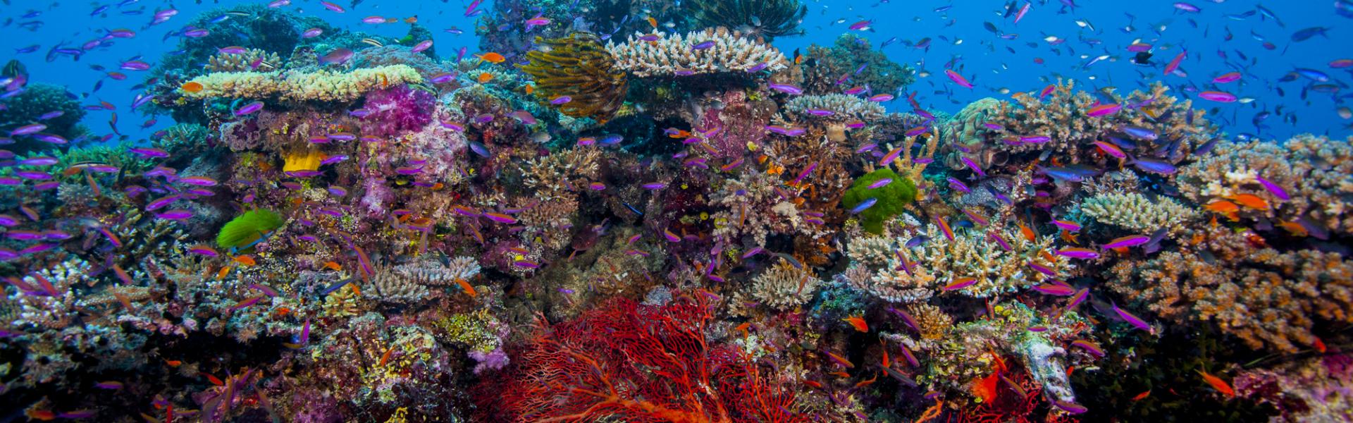 Wallis and Futuna landscape