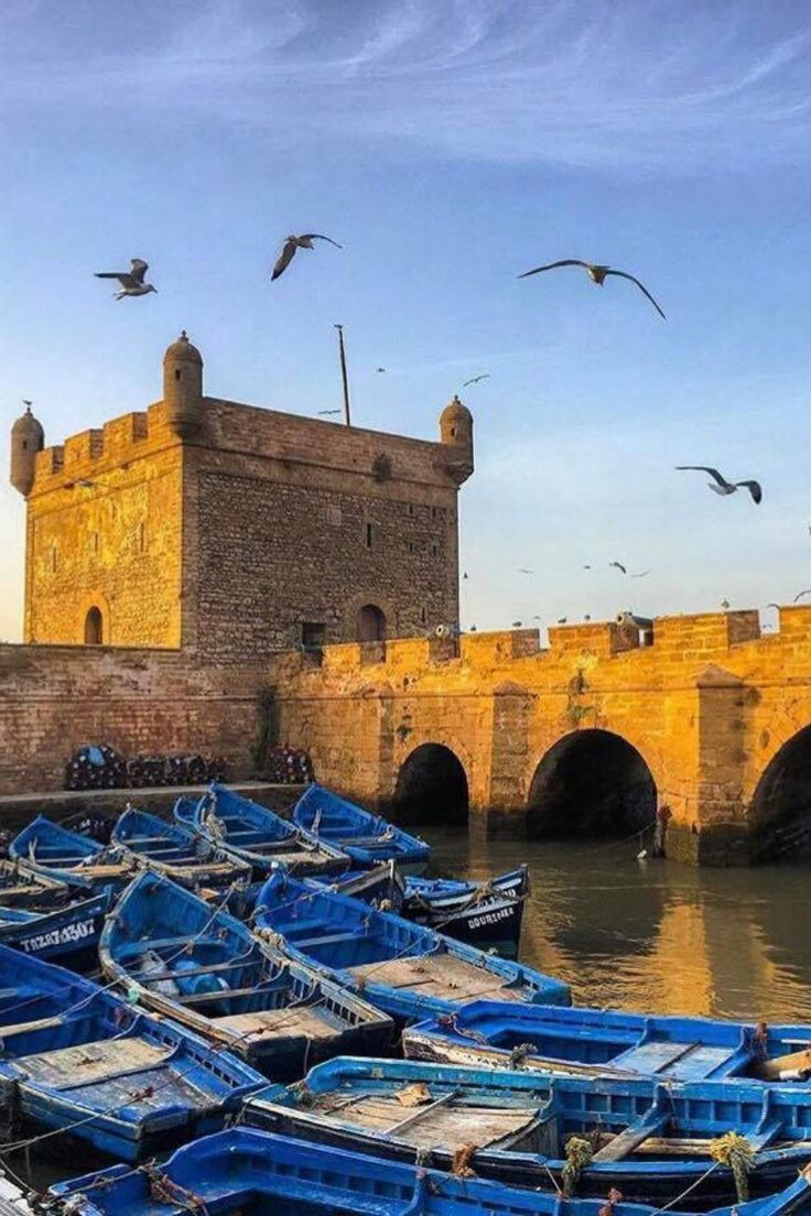 Fuga Marocchina: Marrakech, Agafay ed Essaouira in 8 Giorni