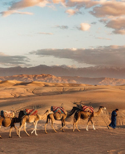 Marokkaanse Uitstap: Marrakech, Agafay en Essaouira in 8 Dagen