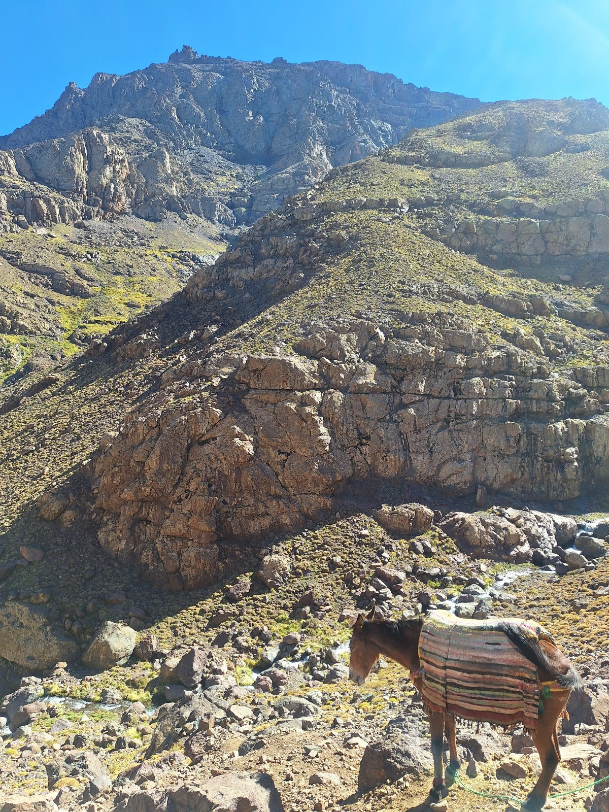 Gipfelabenteuer: Trekking im Hohen Atlas und Besteigung des Mount Toubkal