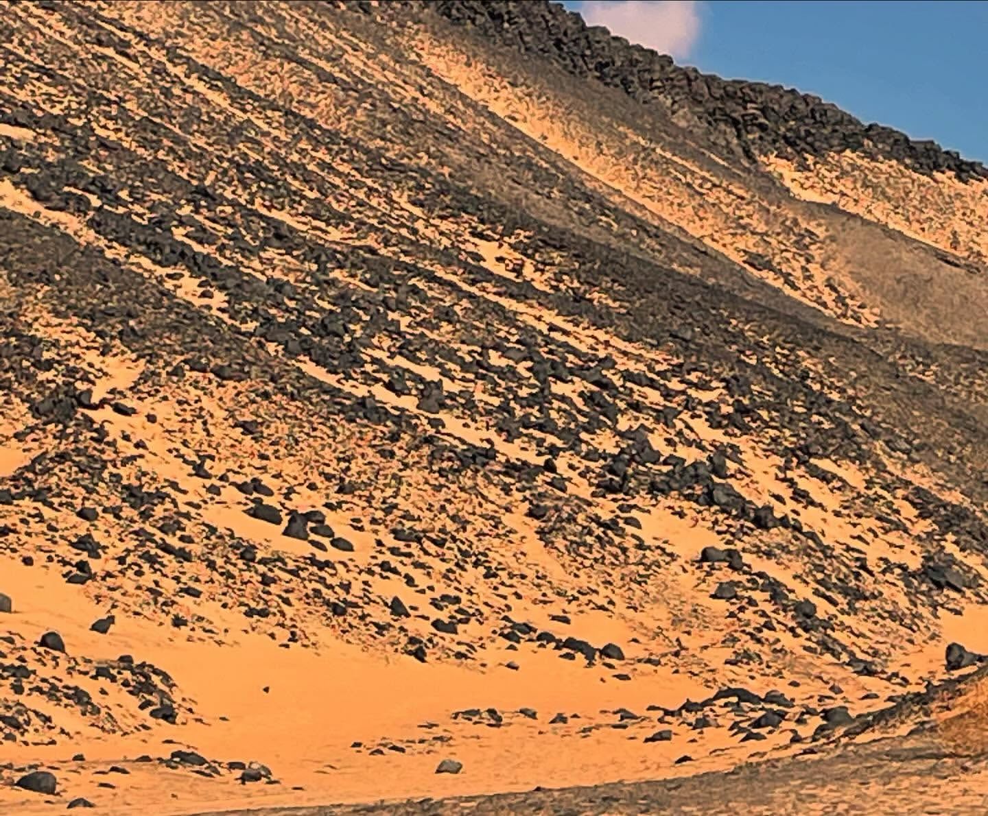 Desierto Blanco y Negro y oasis de Bahariya