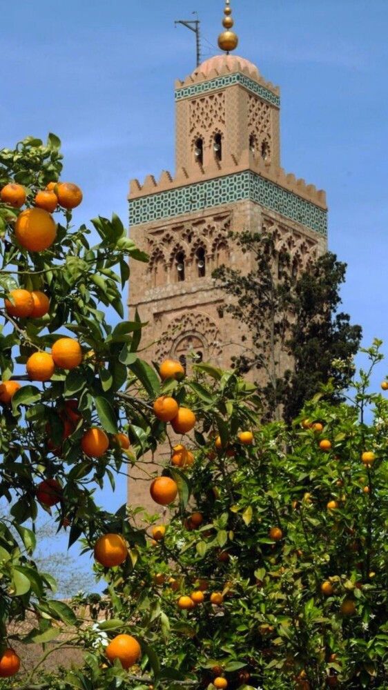 Descubrimiento Imperial: Un Viaje al Corazón de Marruecos, Entre Marrakech y Rabat
 