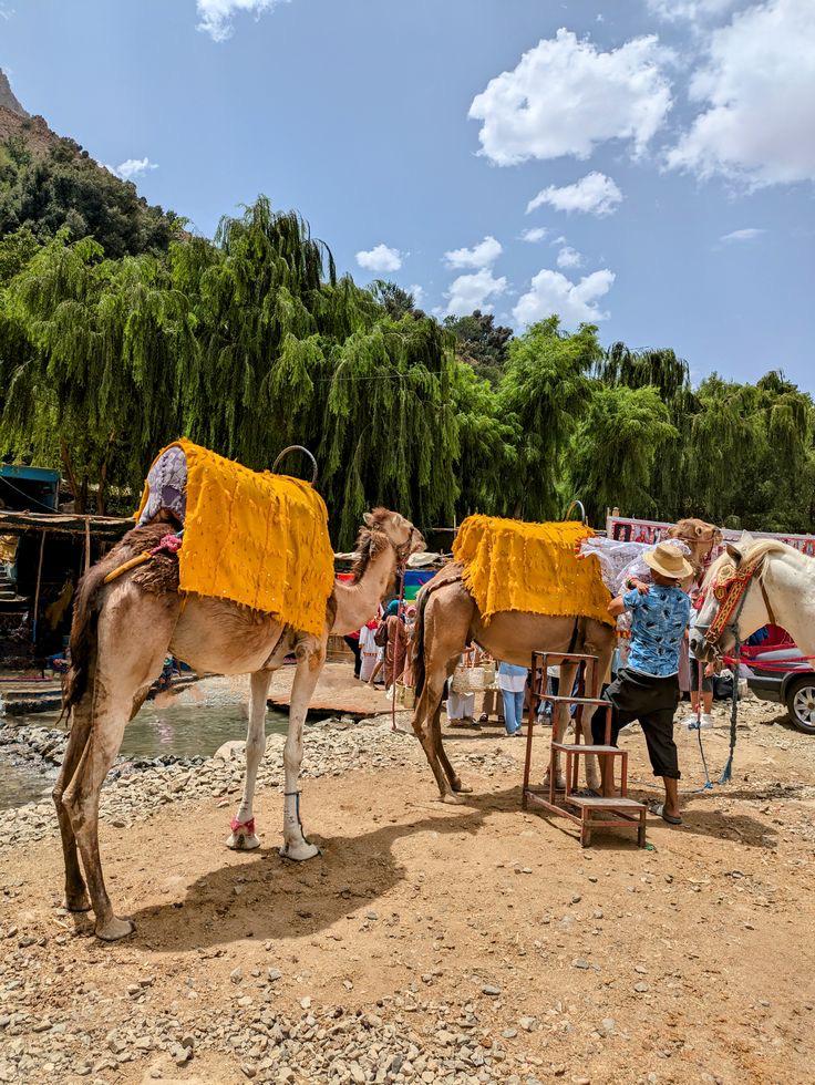 Aventure au sommet : Trekking dans le Haut Atlas et ascension du mont Toubkal