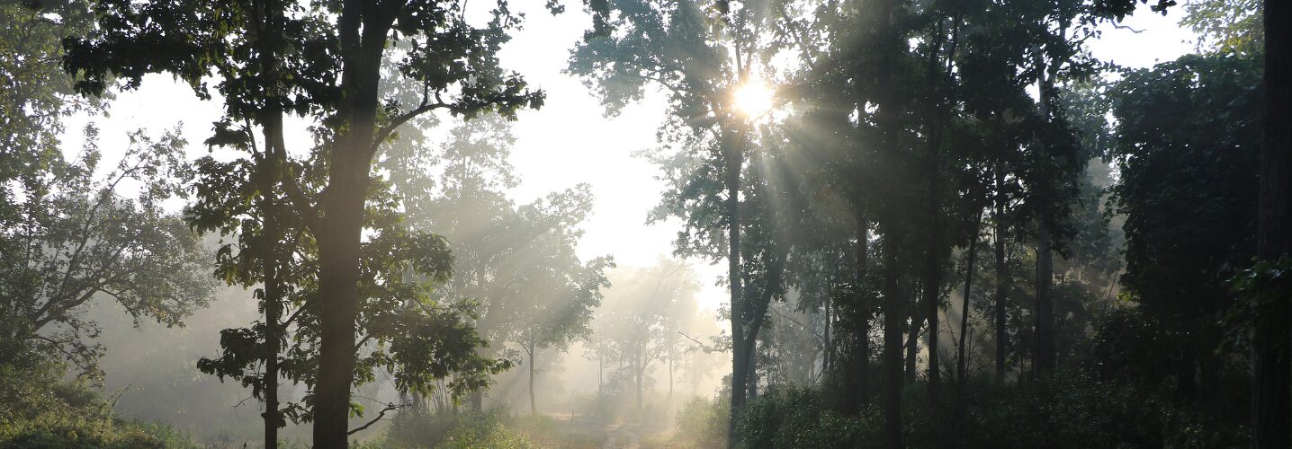 Indiens schönste Nationalparks