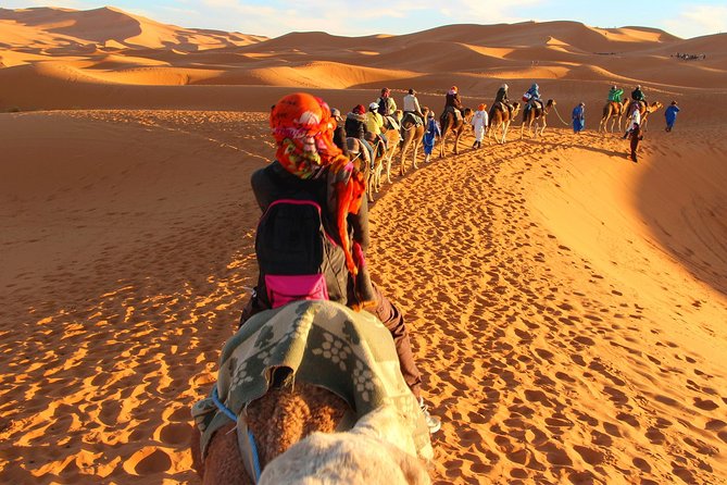 Les Splendeurs du Sud Marocain : Un Voyage des Kasbahs aux Dunes du Désert
 