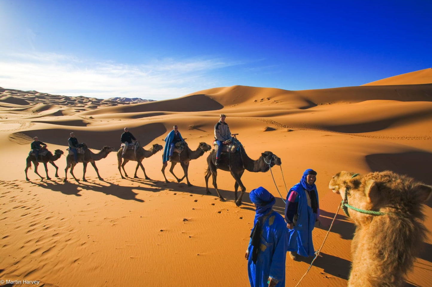 The Splendors of Southern Morocco: A Journey from Kasbahs to the Desert Dunes