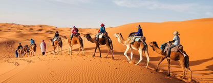 Los Esplendores del Sur de Marruecos: Un Viaje desde las Kasbahs hasta las Dunas del Desierto
 